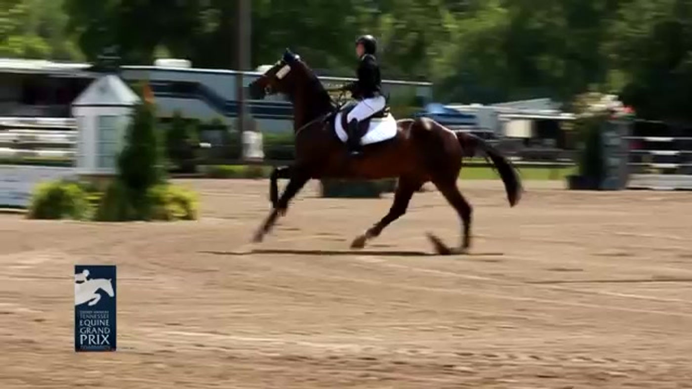Tennessee Equine Grand Prix